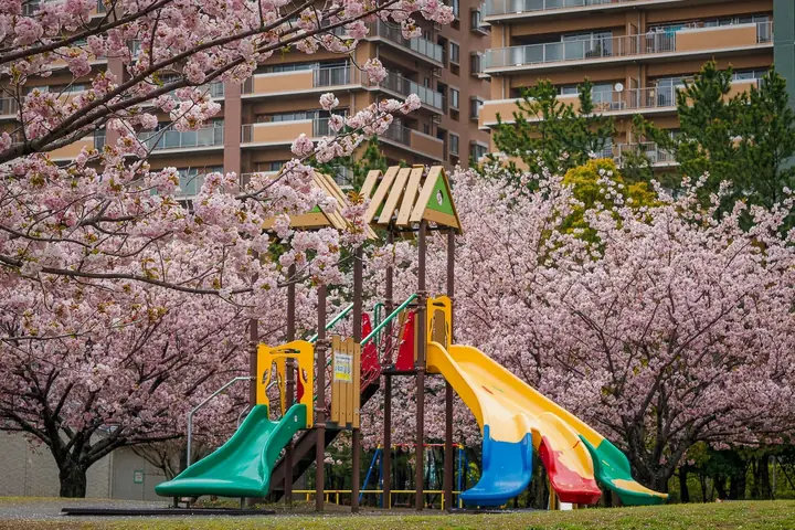 Children playing in a leafy outdoor kindergarten playground